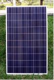 Panel solar policristalino de 250W con Certificado de Calidad en China