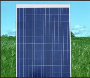 Módulo solar policristalino de 120W de CNMB, China a buen precio