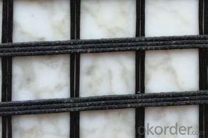 High Tensile Strenth Polyester Geogrid with CE Certifcate