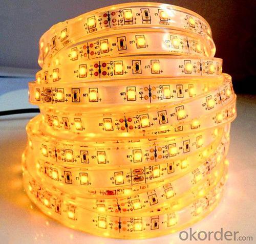 12V/24V Led  Flexible Strip Light SMD3528 5050 System 1