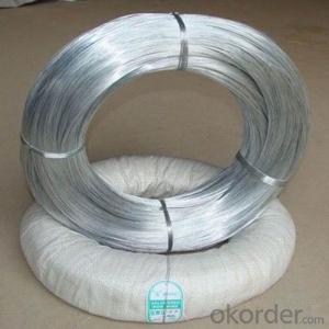 Electro Galvanized Wire Binding Wire BWG22 for SA market 7kg Per Roll