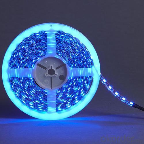 LED RGB Strip Lighting with 3014 SMD LED, R/G/B/Y/W/RGB Option System 1