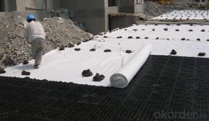 PET Filament Polyester Geotextile Used for Lake System 1