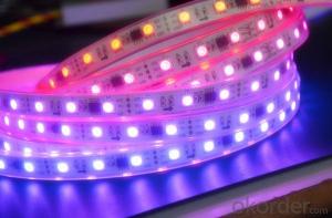 5730 LED RGB Strip Light 8.3w/m PVC Material 220v IP65 with 1 Year Warranty