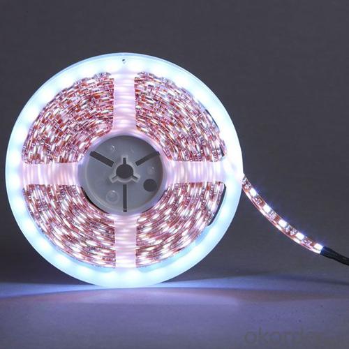 12V/24V 30leds/m RGB Waterproof Flexible SMD5050 LED Strip Light System 1