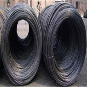 Various of Black Iron Cut Wire Manufacturer and Exporter CNBM