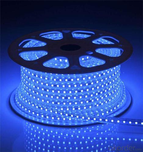 5050 smd Led Strip Lights System 1