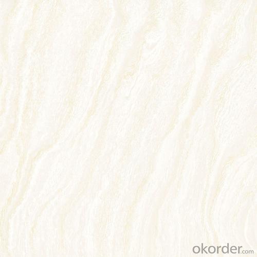 Polished Porcelain Tile Double Loading CMAX-Q8101 System 1