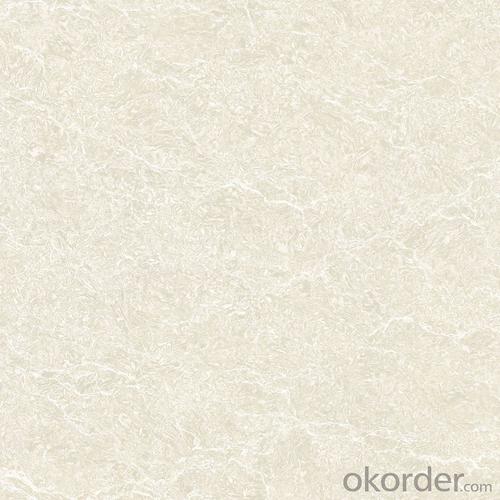 Polished Porcelain Tile Double Loading CMAX-C8501 System 1