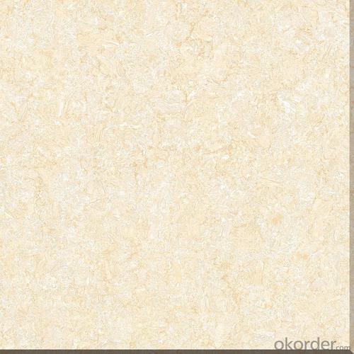 Polished Porcelain Tile Double Loading CMAX-Q36603 System 1