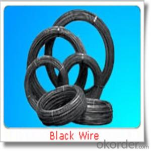 Electro Glvanized BWG 22Wire with 10-15g Zinc Coating and Low Price
