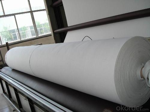 Coir Geotextile Mesh - Pet Long Fiber White Construction Filter Fabric System 1