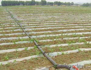 HDPE Pipe for Agriculture Irrigation System