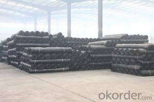 High Tensile Plastic Pp Biaxial Geogrid with CE certificate for Road construction