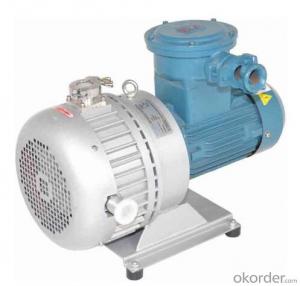 Dry Scroll Explosion-proof Vacuum Pumps