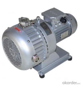 High Capacity Oil Free Dry Scroll Vacuum Pump System 1