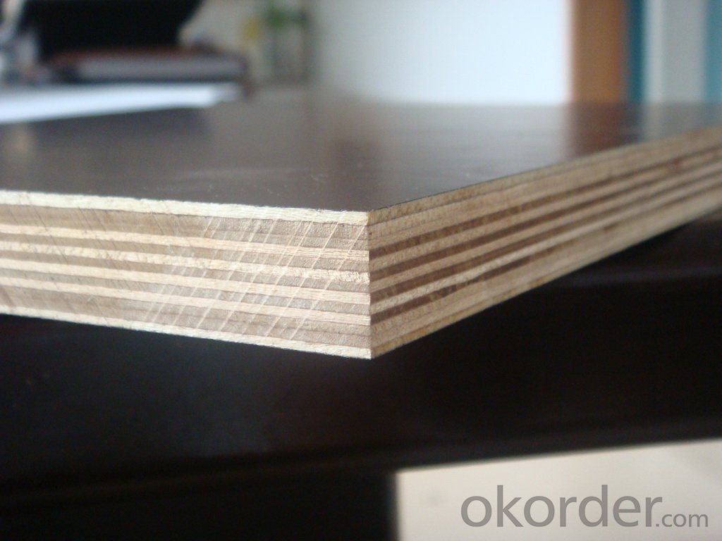 Film Faced Plywood/Marine Plywood Combi/Poplar/Hardwood Core