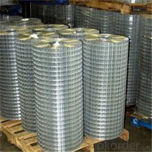 Welded Wire Mesh Teel and Plastic Wire Mesh All Kinds and All Size System 1