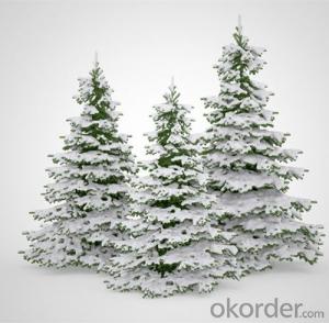Christmas Tree Outdoor Use of Big Size Decoration