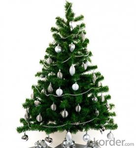 Christmas Tree 2ft-12ft with Factory Price
