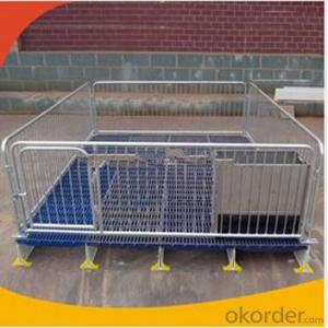 Galvanized Free Stall for Cows after Gestation System 1