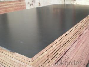 Combi Core Marine Plywood / Film Faced Plywood / Construction Materials