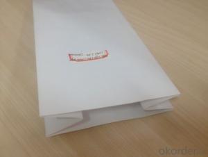 White Craft Paper Bags Laminated with LDPE Film for Food Packing System 1