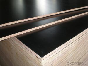 Film Faced Plywood with Best price Marine