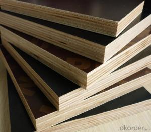 Film Faced Plywood Eucalyptus Core Shuttering Plywood