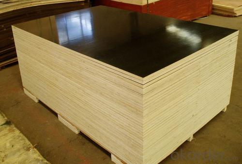 Film Faced Plywood Construction Wood /Wooden Board / Laminated Plywood Sheets System 1