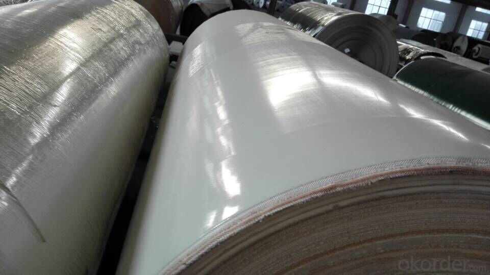 PVC/PU Conveyor Belt for Food Industry White PU Conveyor Belting
