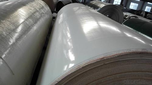 White Food Grade PU Conveyor Belt PVC Conveyor Belt System 1