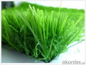 Artificial Grass and Dogs Green with High Quality and Cheap Price System 1