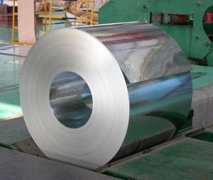Hot Rolled Stainless Steel Coils  304L No.1 Finish Size 5.0*1219C System 1