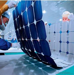 CNBM Polycrystalline Silicon Solar Cells156mm (14.00%—17.25%)
