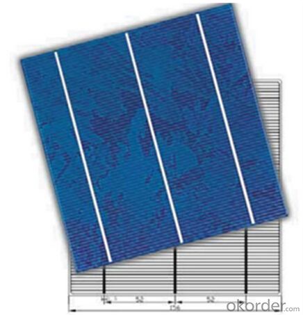 Mono Solar Cells 156X156MM2 Low Price Made in China