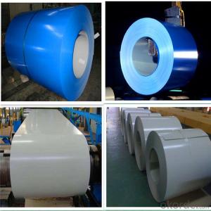 Prepainted Steel PPGI Steel Coil Suppliers Sheet in Coil Factory