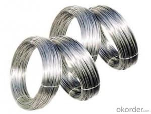Stainless Steel Wire Rod/ Dia 0.5mm Stainless Steel Wire