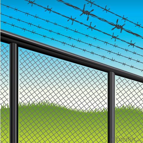 Hot dip/ Electric galvanized Double Twist Barbed Wire Fencing Real Factory (ISO)