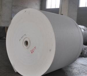 Long Fiber Polyester Mat/Spunbond Polyester Mat/Reinforced Polyester Mat