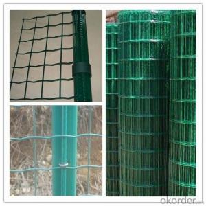 Hot Dipped Galvanized Durable Swimming Pool Euro Fence