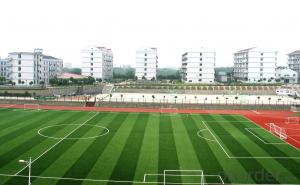 CE Factory Plastic Artificial Football Grass System 1