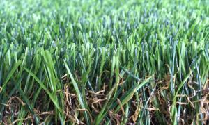 Artificial Turf  for Flooring Decoration System 1