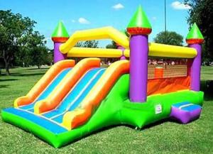 Inflatable Animal Sports Jumping Castle for sales System 1