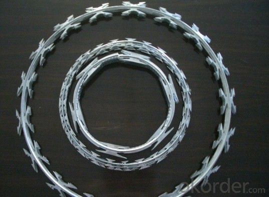 Galvanized Concertina Razor Barbed Wire (BTO-22)