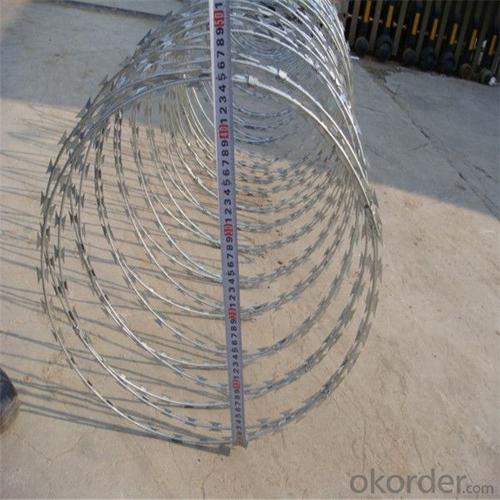 Galvanized Concertina Razor Barbed Wire (BTO-22) System 1