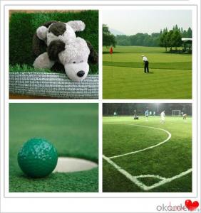 China Football Soccer Artificial Grass Turf  CE Reach System 1