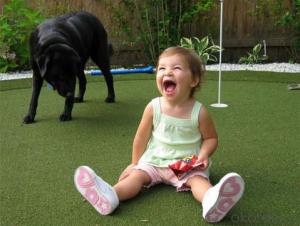 Artificial Grass for Kids/Pet Made in China System 1