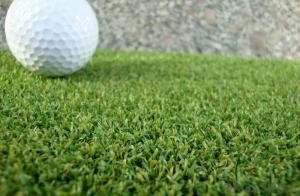 Backyard Mini Golf  Artificial Turf with Higt Quality