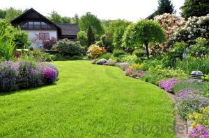 Artificial Turf  Landscaping with PPPE Garden Grass System 1